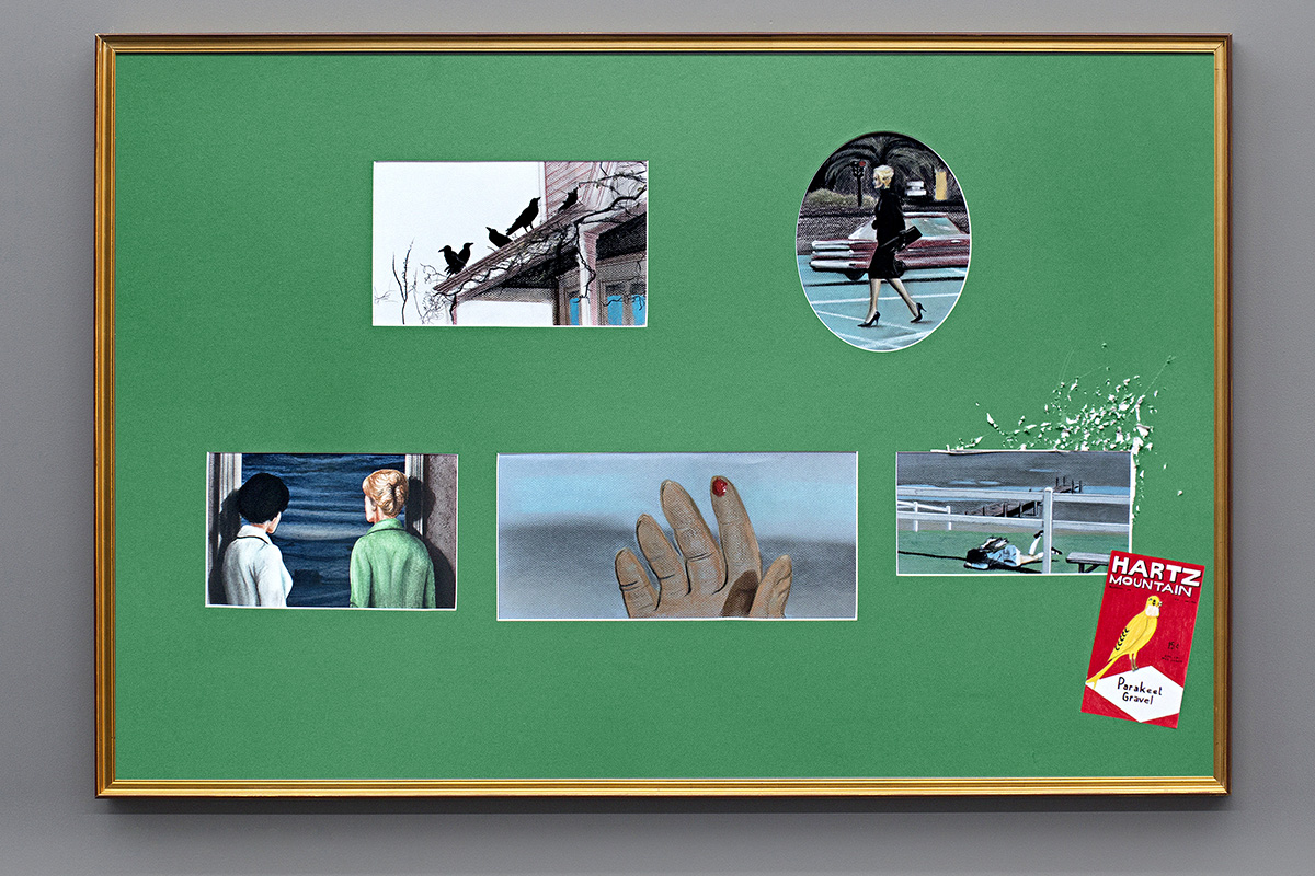 Birds. Serie Retratos de Familia