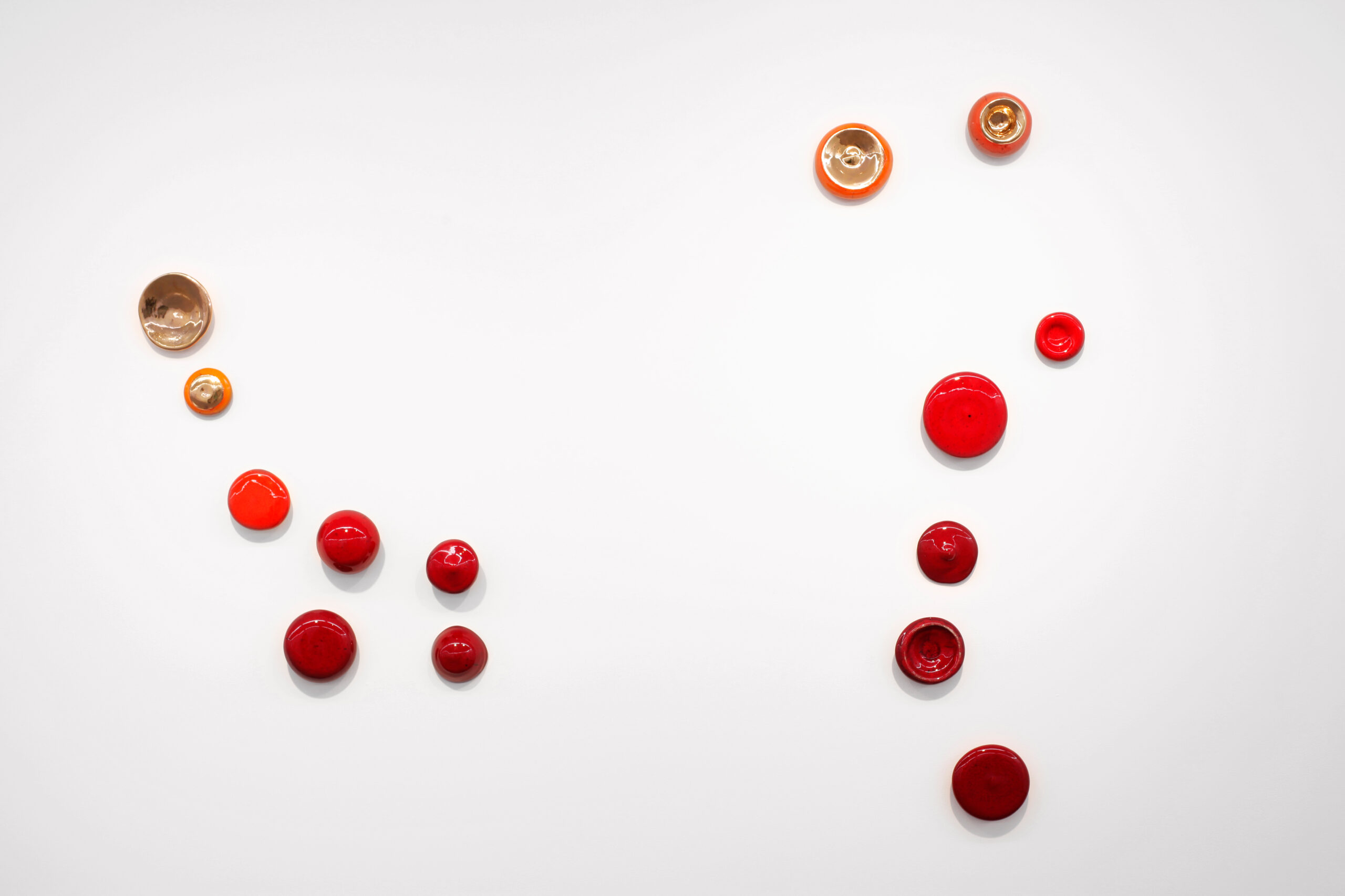 Osa mayor, osa menor. Argenta/Buenos Aires. 1979