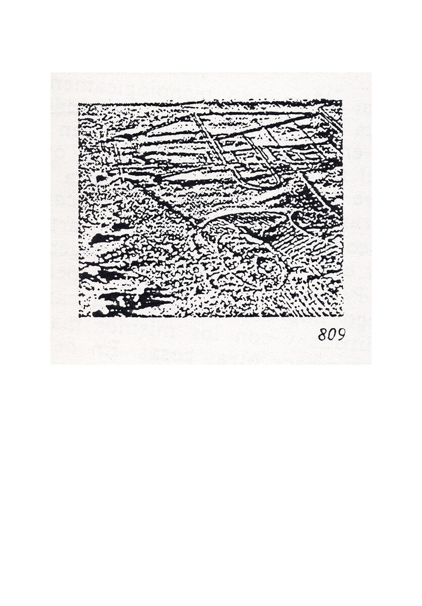 809. Marcel Duchamp. Series Argan