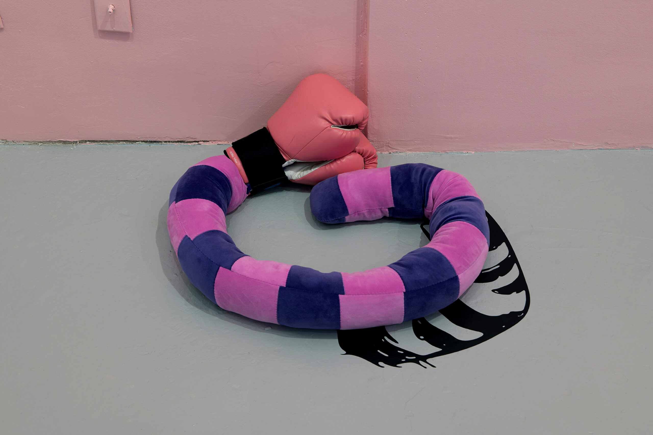 Sin título. Serie Was it a cat I saw