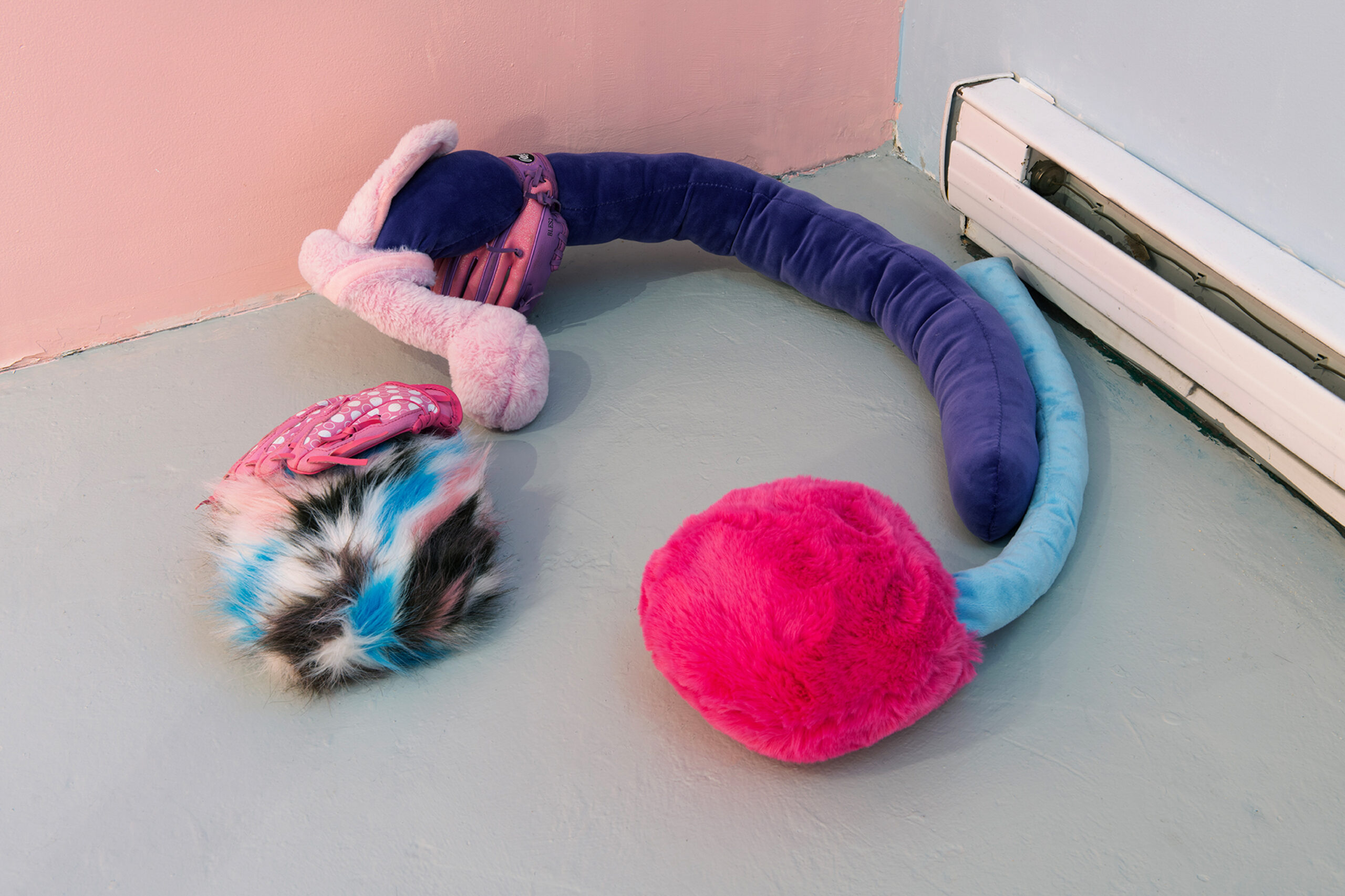 Sin título. Serie Was it a cat I saw