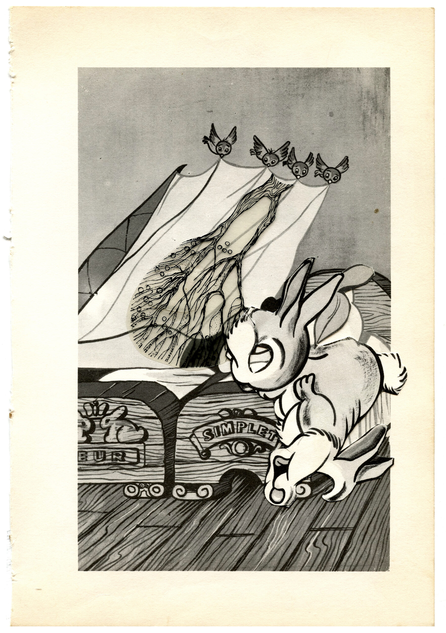 Untitled. Series Blanca Nieves